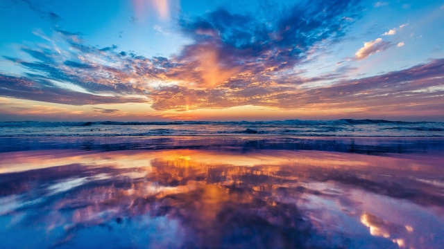 金年会公司：乒乓球台的水渍怎么去除